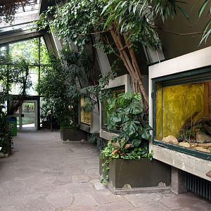 Hannover Zoo - Tropical house
