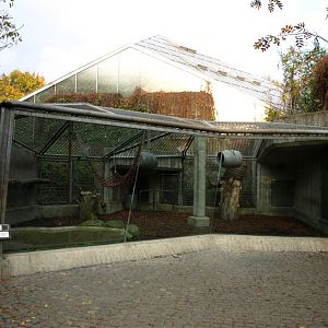 Hannover Zoo - Orangutan exhibit