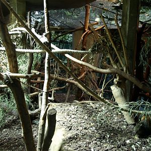 Hannover Zoo -Rainforest exhibit