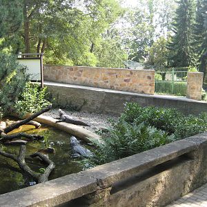 Usti nad Labem-Alligator Touch Exhibit