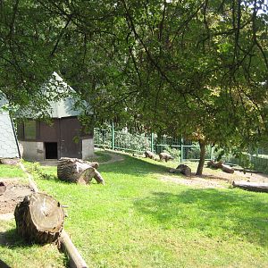 Usti nad Labem-Babirusa Exhibit