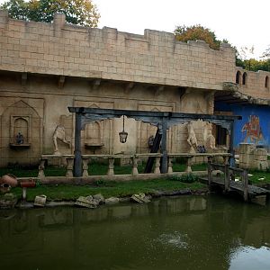Hannover Zoo - Langur exhibit