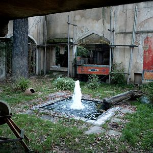 Hannover Zoo - Leopard exhibit