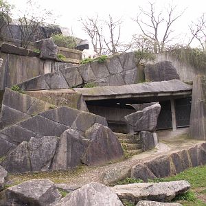 zoo trip Europe 2008