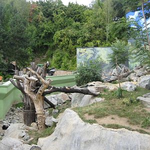 Usti nad Labem Lion Exhibit