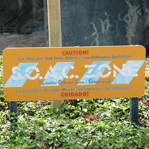 Chimpanzee Splash Zone