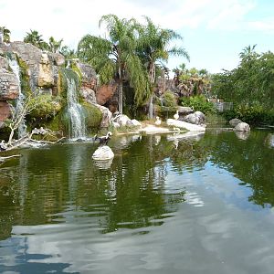 Pelican Pool