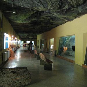 Usti nad Labem Inside the Cat building