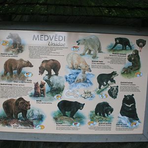 Ice (Polar) bear exhibit