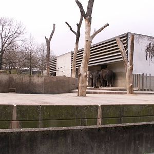 elephant exhibit