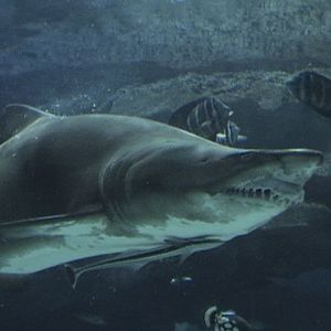 Blue Zoo Aquarium Beijing