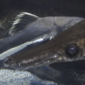 Blue Zoo Aquarium Beijing
