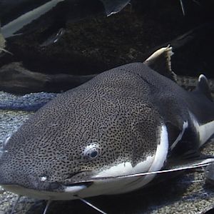 Blue Zoo Aquarium Beijing