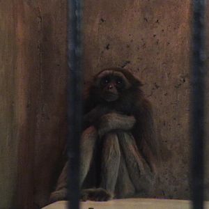 Behind the scenes...