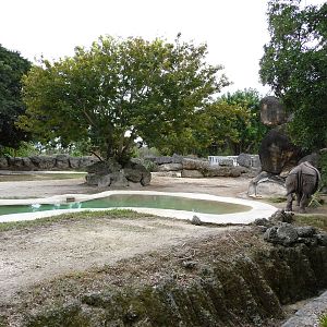 Indian Rhino Exhibit