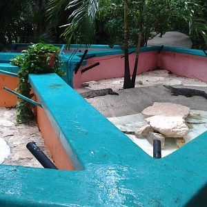 Enclosures Moreleti's crocodiles