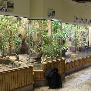 Reptiles House - Turtles sections
