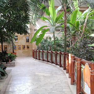 Elephants House - inside