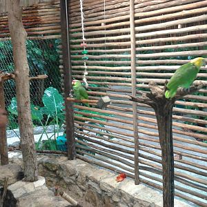 Parrot holding area