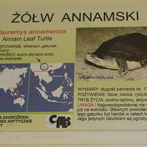 An example of a new information plate