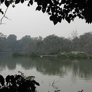 the zoo lake
