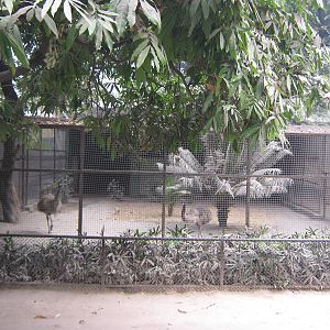 aviaries for emus