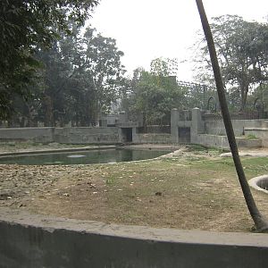 enclosure for common hippos