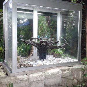Royal python enclosure