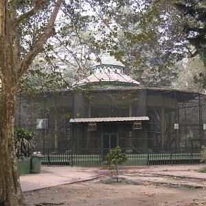 aviaries for large parrots