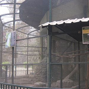aviaries for large parrots
