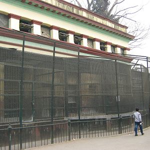 macaque cages