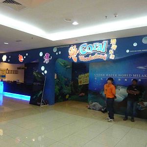 Aquarium ticket desk and entrance, May 2013.