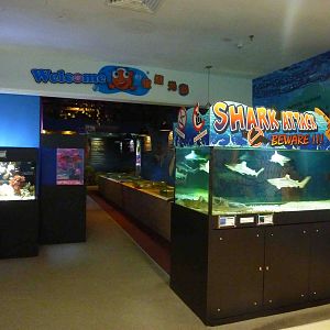 First room, May 2013.