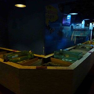 Touch pools, May 2013.