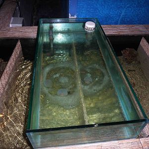 Touch a jellyfish, May 2013.