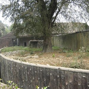 enclosure for sloth bear