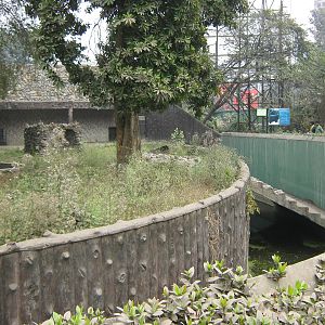 enclosure for Asiatic black bear