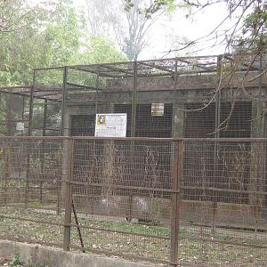 old chimpanzee cage