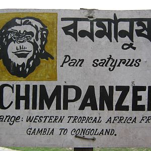 chimpanzee signage