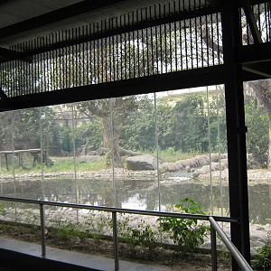 tiger enclosure