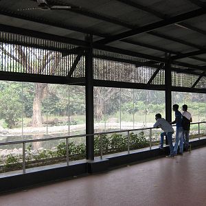tiger enclosure