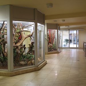 Tamarins enclosures in Giraffes House