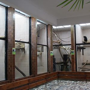 Inside Monkey House
