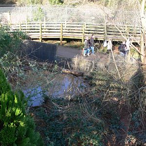 Tayra exhibit at South Lakes, 16/02/14