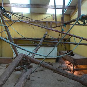 Mixed exhibit at South Lakes, 16/02/14