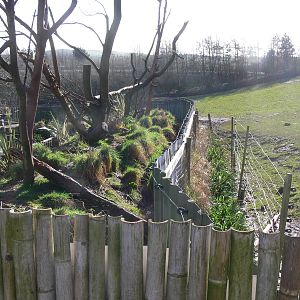 Raccoon Exhibit at South Lakes, 16/02/14