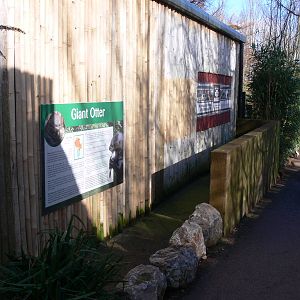 Otter house at South Lakes, 16/02/14