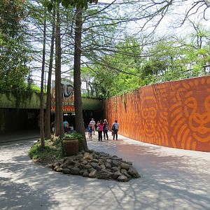 Wilds of Africa - Tunnel Entrance