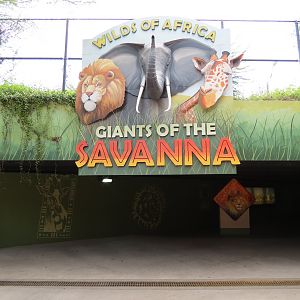 Wilds of Africa - Tunnel Entrance