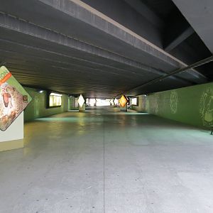 Wilds of Africa - Tunnel